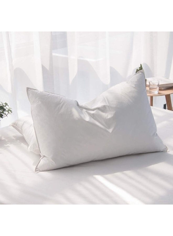 AIKOFUL Luxury Feathers Down Pillow Queen/Standard Size, Hotel Quality Fluffy Bed Pillow, Soft Pillow for Sleeping, Organic Cotton Cover(20x28â€, Pack of 1) - Image 1
